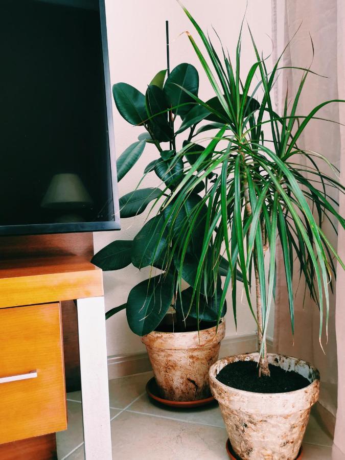 Apartment Kintsugi House *